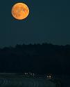 _DSC1313_2 (1)